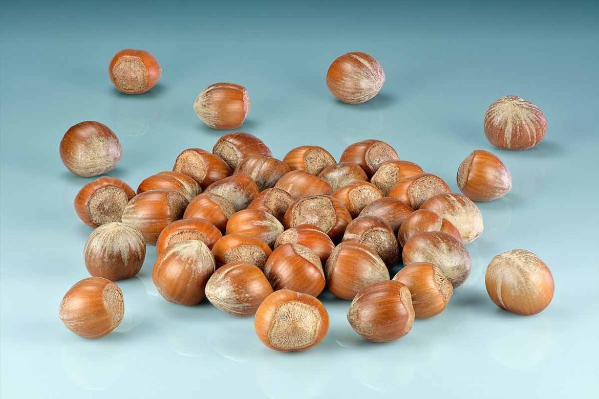 Hazelnuts health benefits side effects few people may know