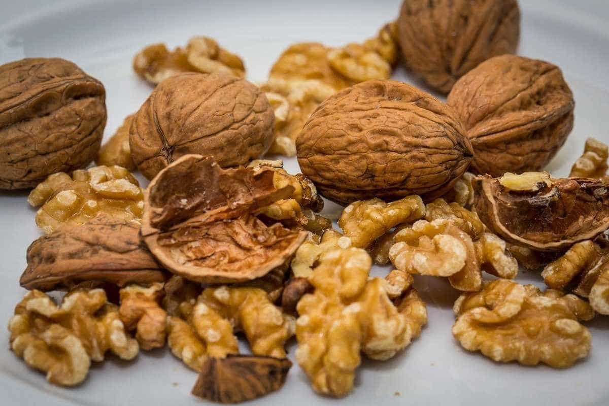 Arizona Black Walnut (Juglans major)