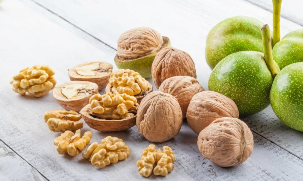 Price of walnut nutrition benefits