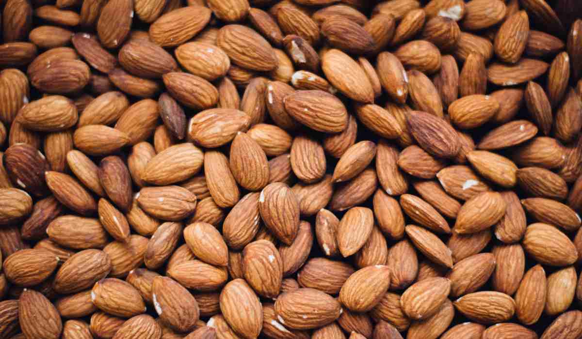 From A to Z of Worldwide Exporting Almonds