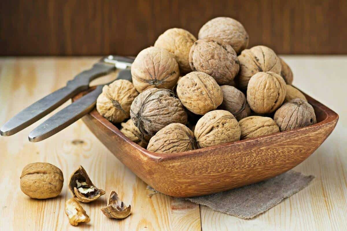 Walnut Types