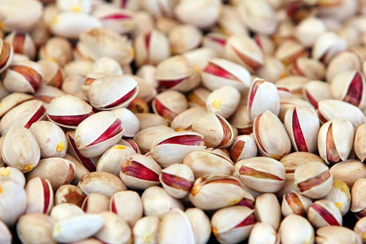 Pistachio world market price in developed countries