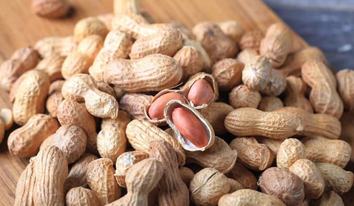 Unbelievable Peanuts price for sale in the world