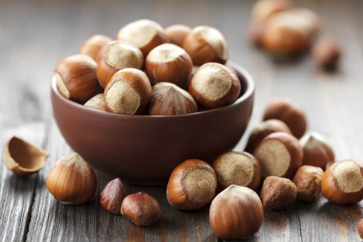 Hazelnuts for sale on Alibaba