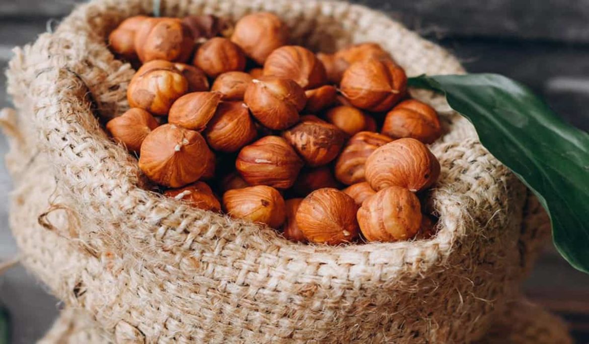 Hazelnut kernels import in turkey to the international trade