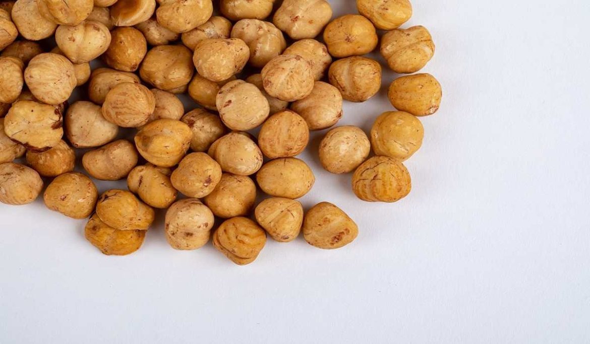 Roasted Hazelnut price per kg in global market