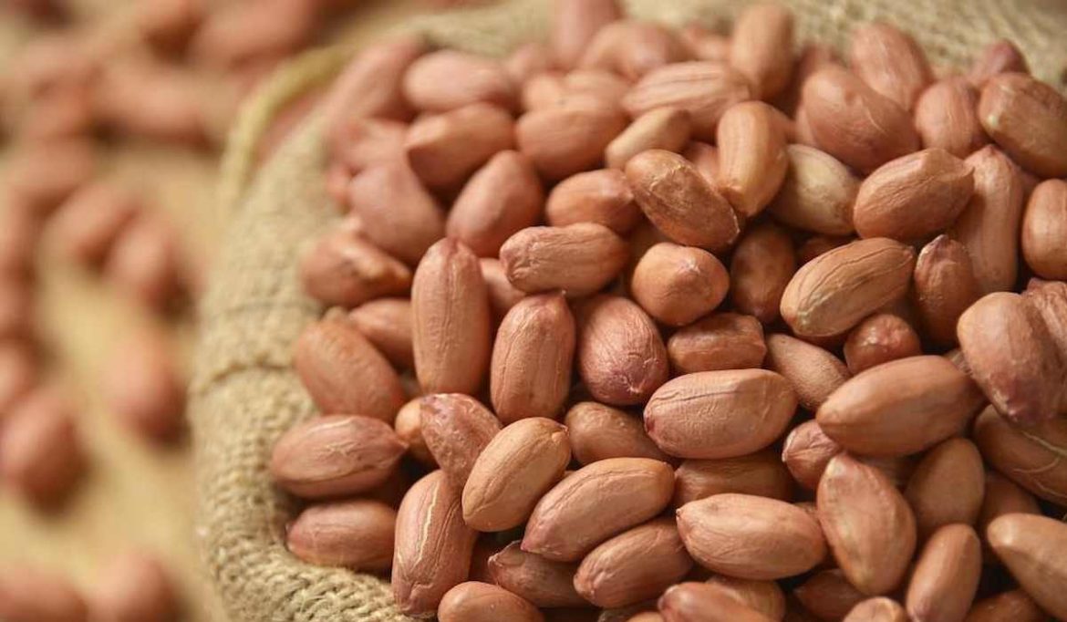 where to buy raw peanuts in bulk at affordable price?