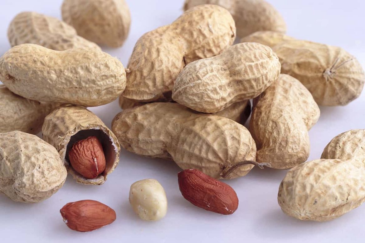 Different types of peanuts in India and their production statistics