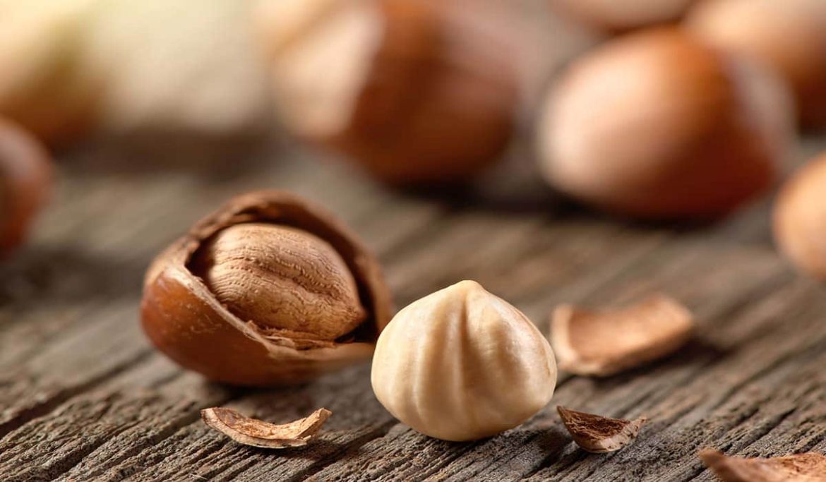 Hazelnut kernels price online from reputable stores