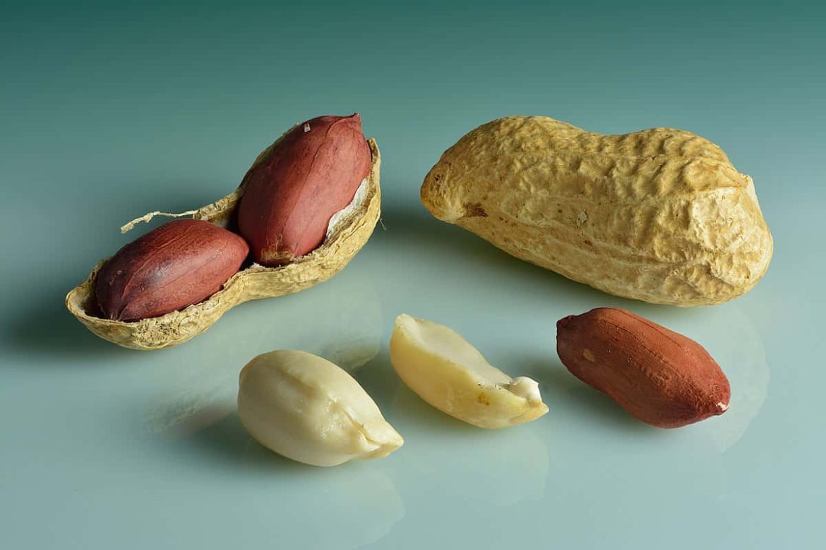 Cheap peanut in shell price for customers