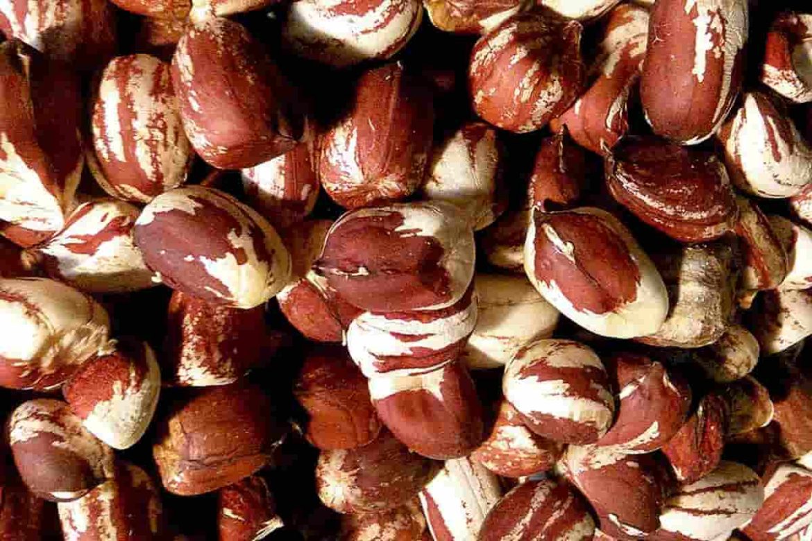 Wholesale price red baron peanuts