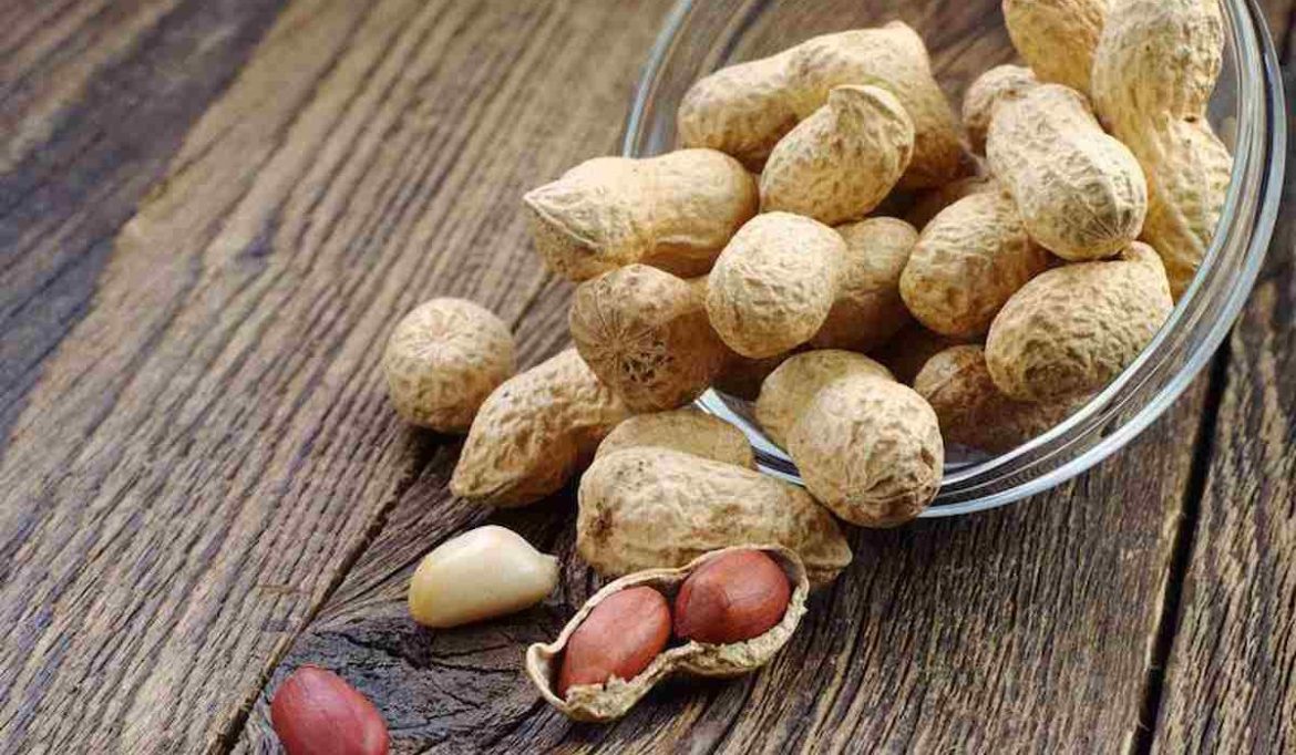 Indian peanuts in shell price