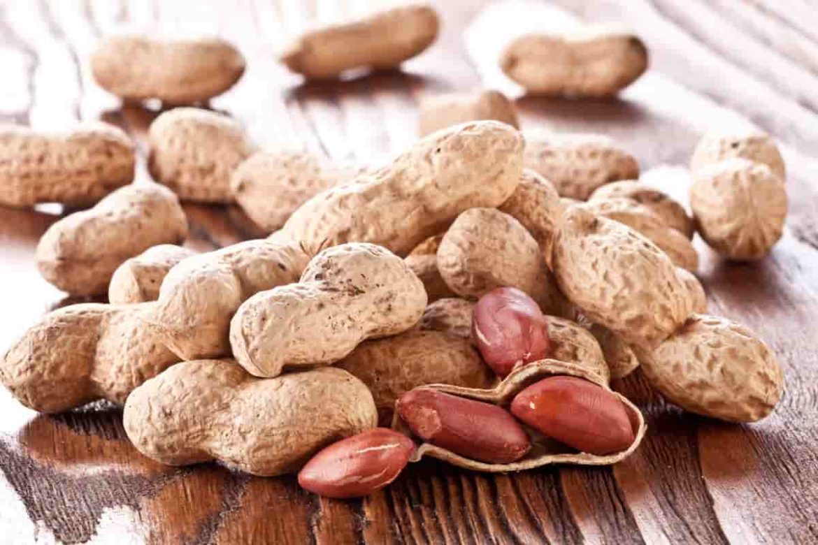 Export quality blanched peanuts