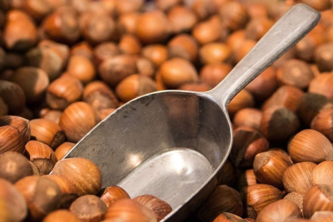 Hazelnuts in Tamil purchase price