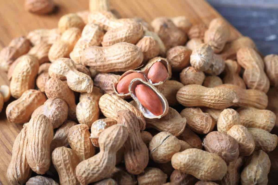 Red skin peanuts purchase price