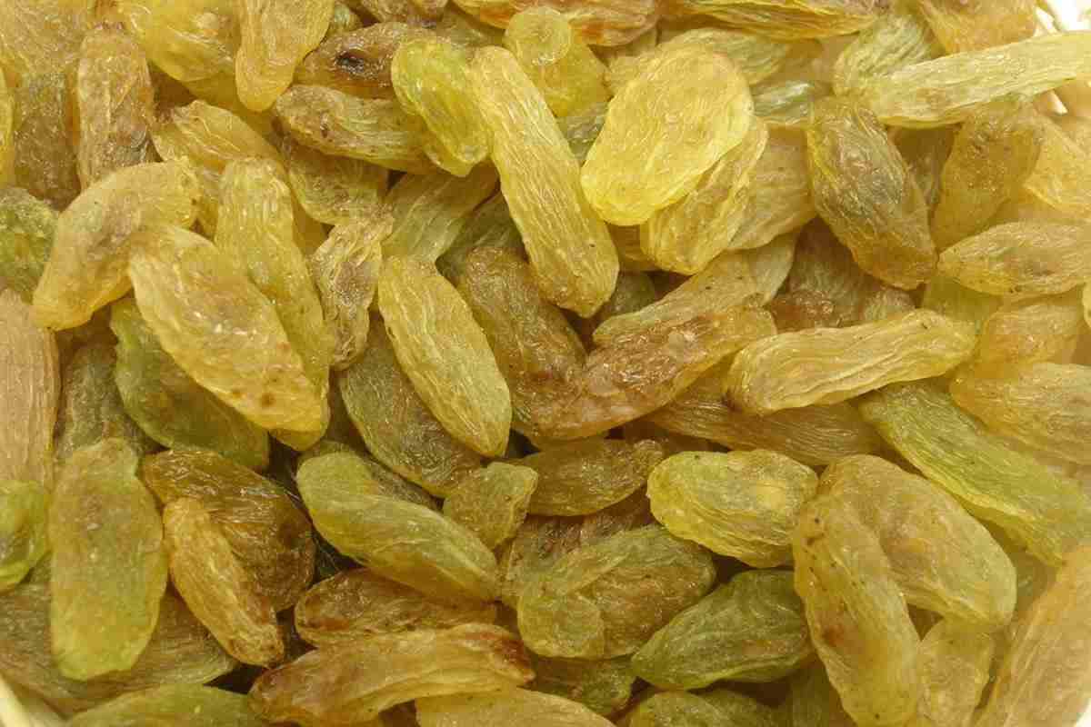  Introduction of Dried green raisins + Best buy price 