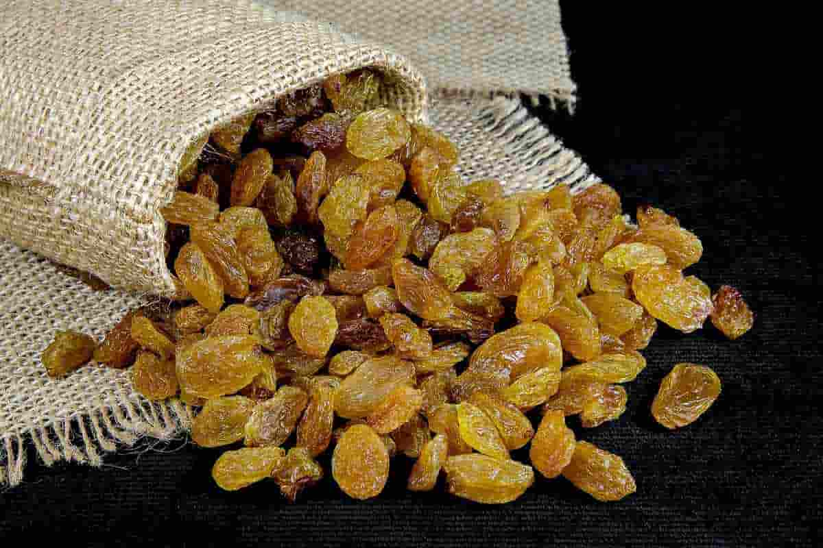  Introduction of Dried green raisins + Best buy price 