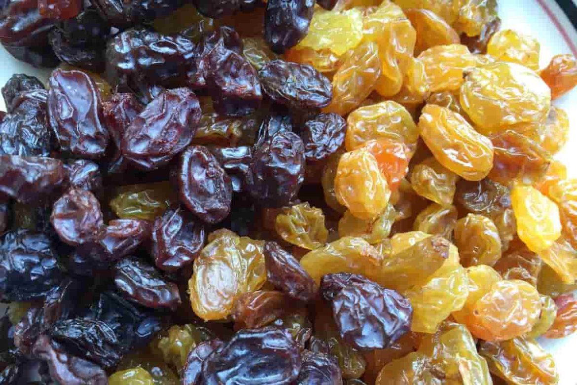 Buy and price of best golden raisins