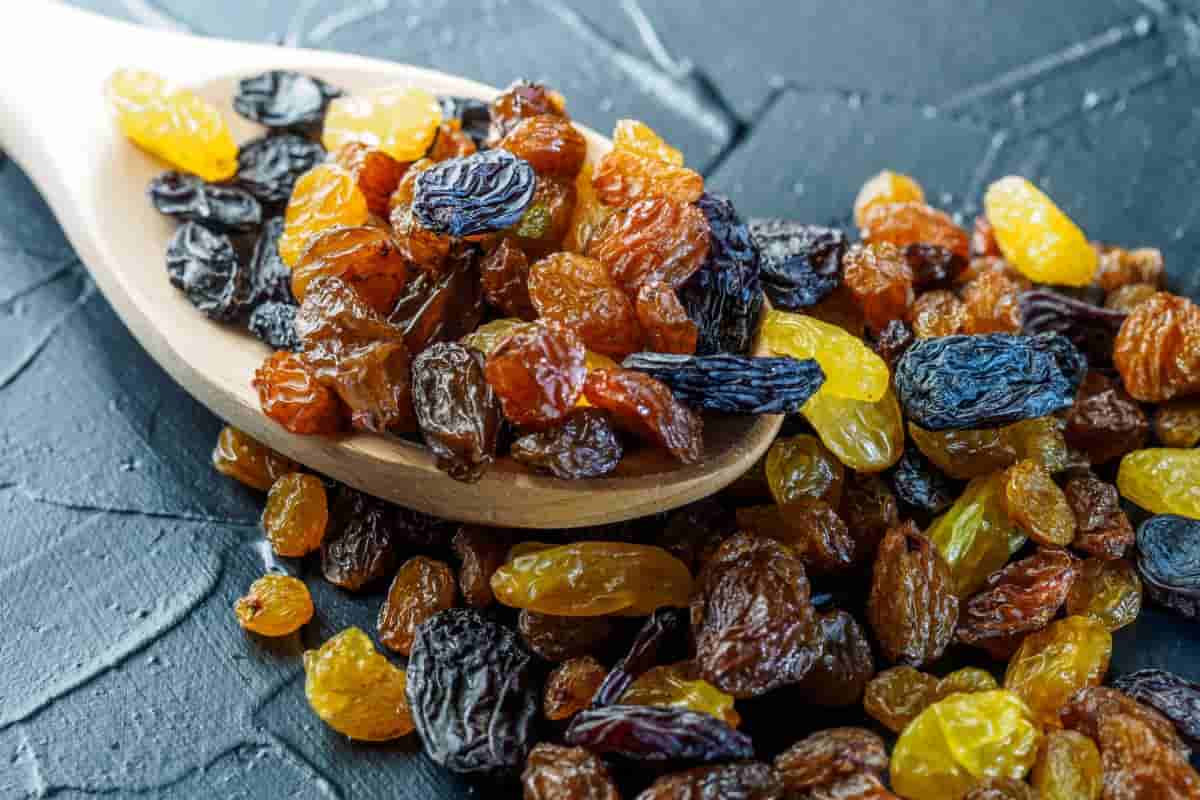  Buy and price of best golden raisins 