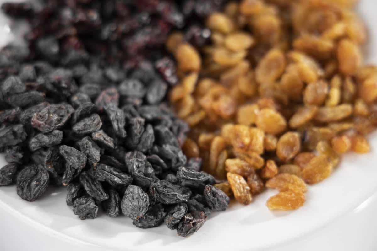  Buy and price of best golden raisins 