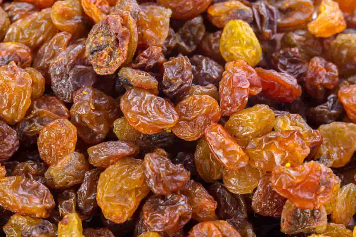  Buy and price of best golden raisins 