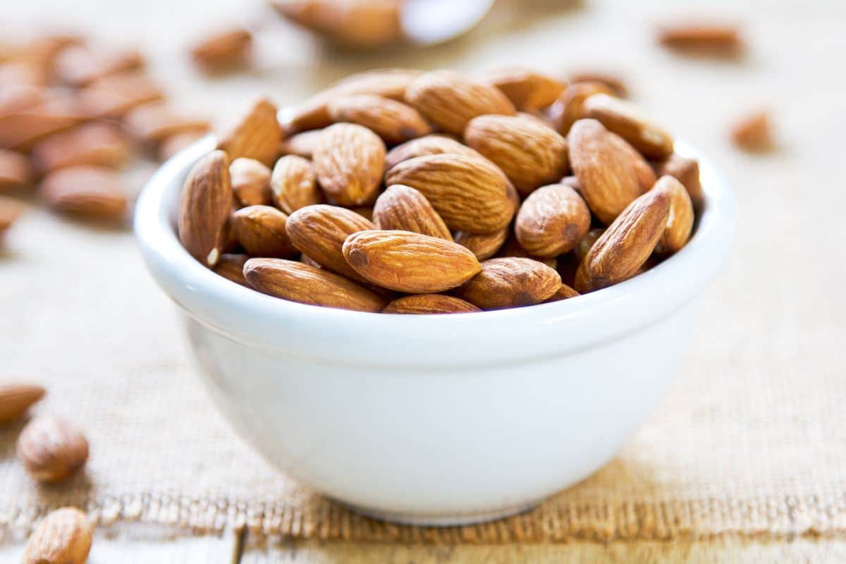  Mamra Almonds in Mumbai; Tough Wooden Shield Improve Body Skin Fertility 