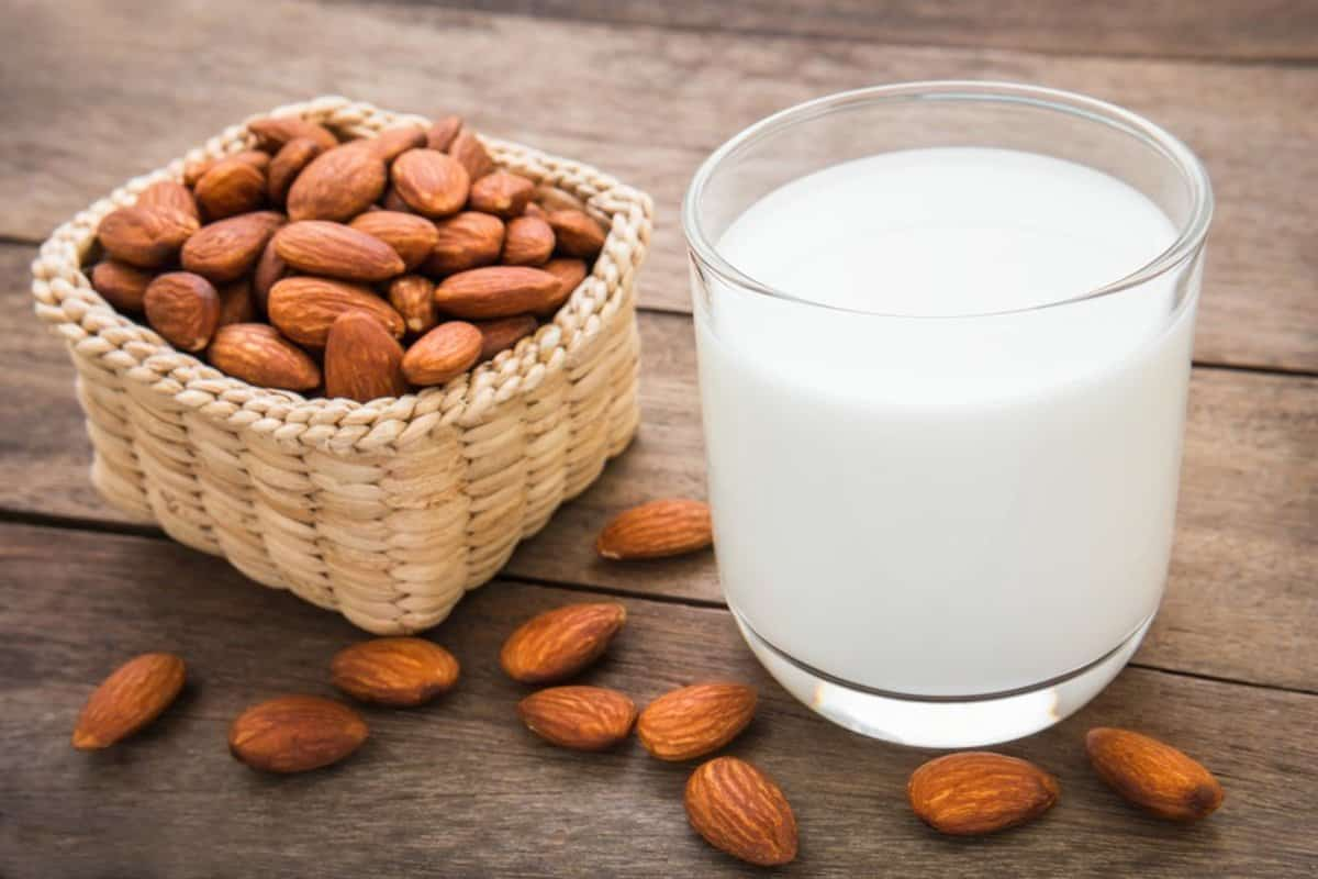  Mamra Almonds in Mumbai; Tough Wooden Shield Improve Body Skin Fertility 