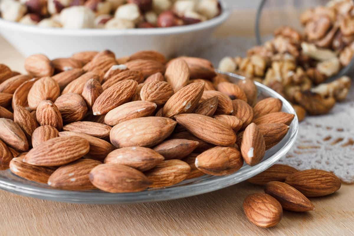  Mamra Almond in Iran; Sweet Calcium Potassium Vitamin B2 E Magnesium Source 