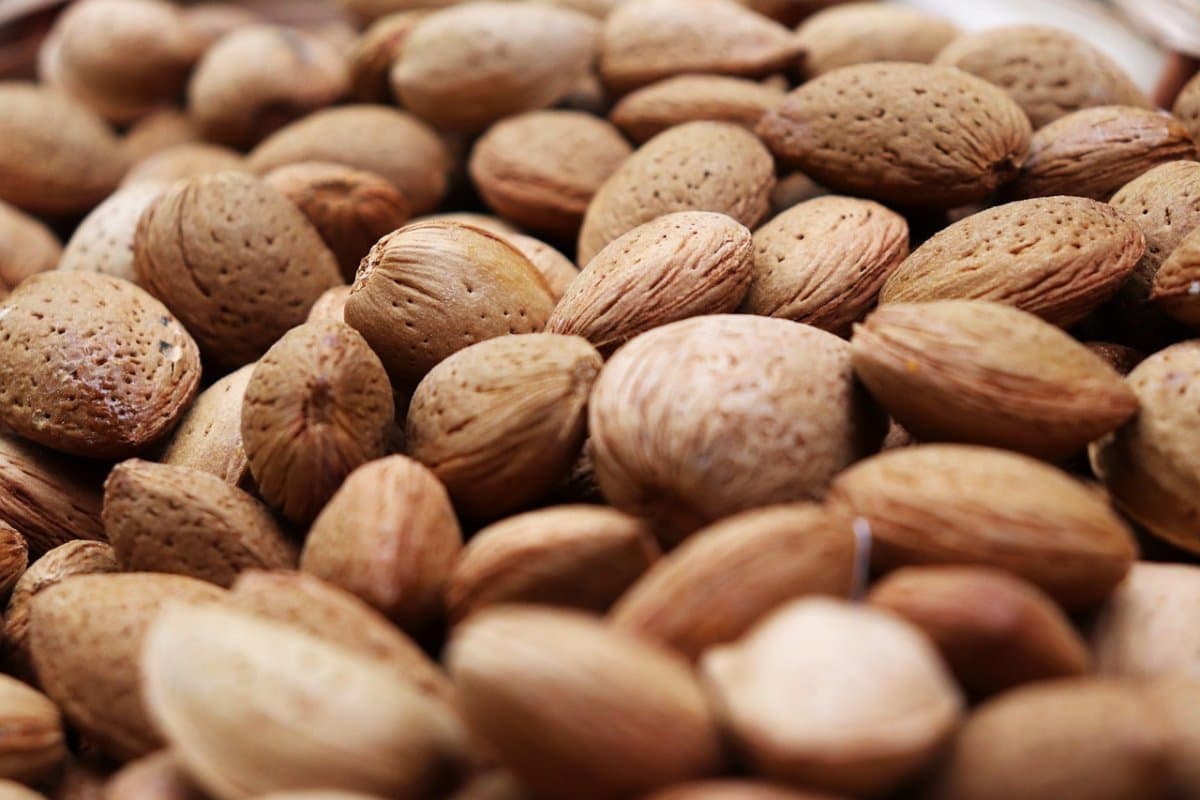  Mamra Almond in Iran; Sweet Calcium Potassium Vitamin B2 E Magnesium Source 