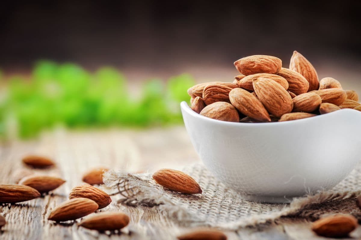  Mamra Almond in Iran; Sweet Calcium Potassium Vitamin B2 E Magnesium Source 