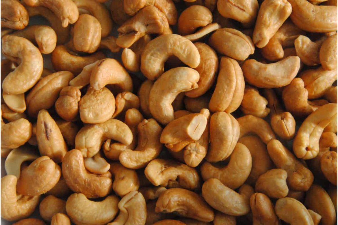 Cashew in India; Contains Copper Phosphorus Vitamins B2 E Protect Skin Strengthening Bones