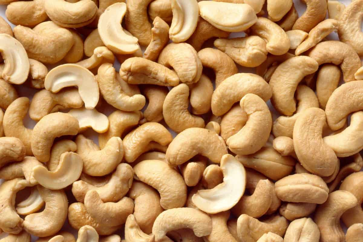  Cashew in India; Contains Copper Phosphorus Vitamins B2 E Protect Skin Strengthening Bones 