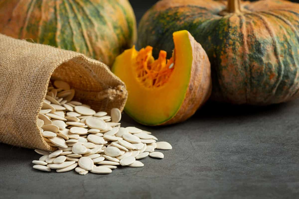  Hybrid Pumpkin Seeds; Light Green Vitamins Minerals Nutrition Iron Sources 