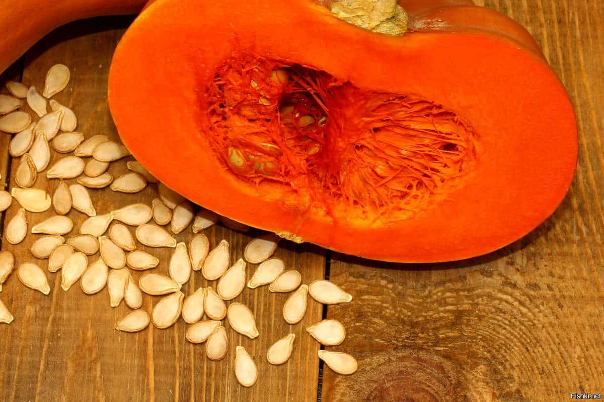  Hybrid Pumpkin Seeds; Light Green Vitamins Minerals Nutrition Iron Sources 