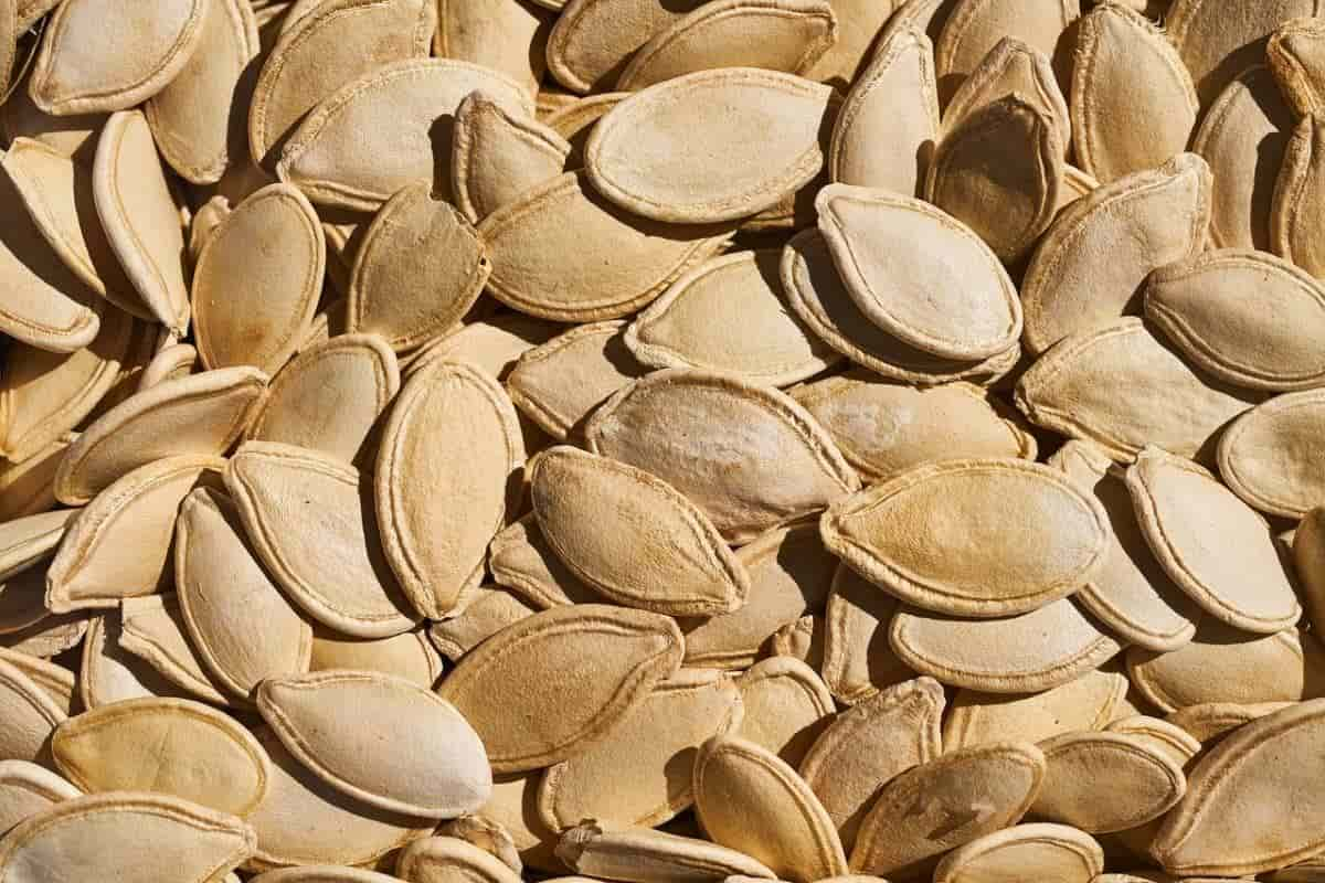  Alesto Pumpkin Seeds; Lemon Flavor 3 Vitamins B C D E 