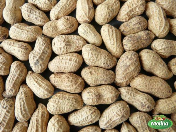 The purchase price of roasted peanuts exporters in India