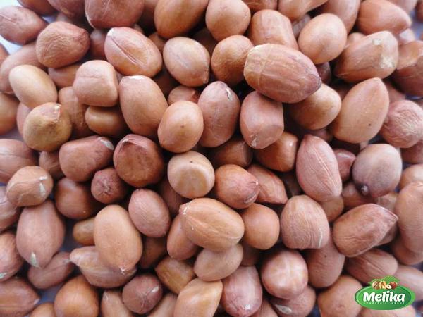 Specifications of nuts