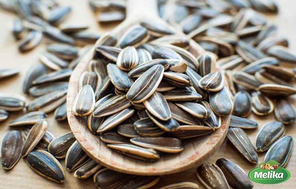 Sunflower seeds bulk purchase price + quality test