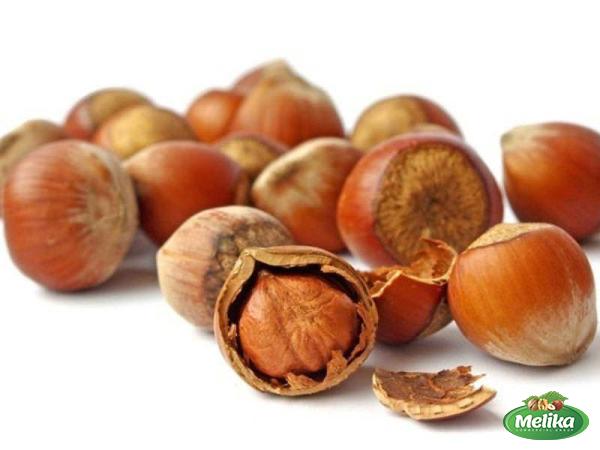 Introducing bulk hazelnuts in shell + the best purchase price