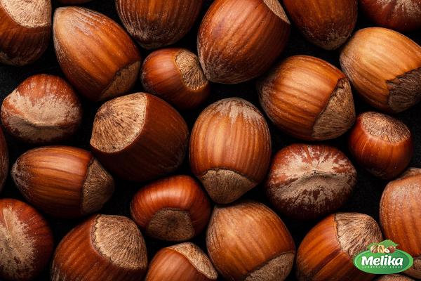 Best roasted hazelnuts in shell + great purchase price