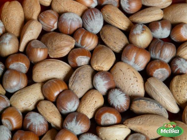 Specifications of nuts