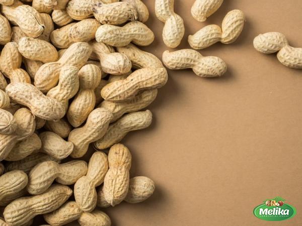 Buy and price of roasted peanuts in shell bulk