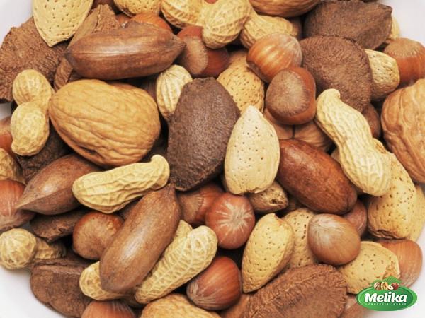 Purchase and price of nuts in shell bulk types