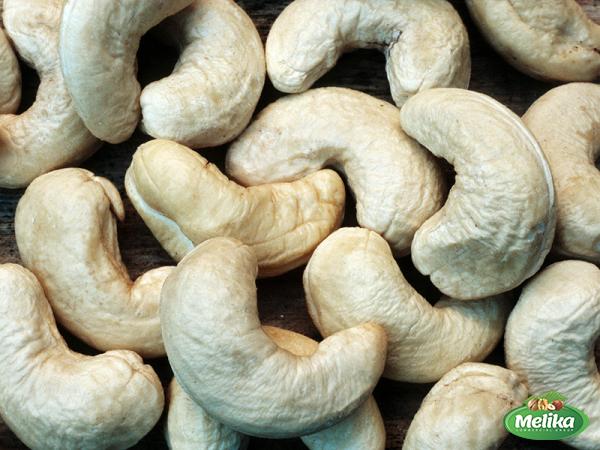 Price and buy cashew nut industry in India + cheap sale