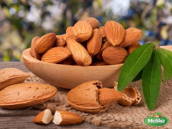 Almond dry fruits purchase price + specifications, cheap wholesale