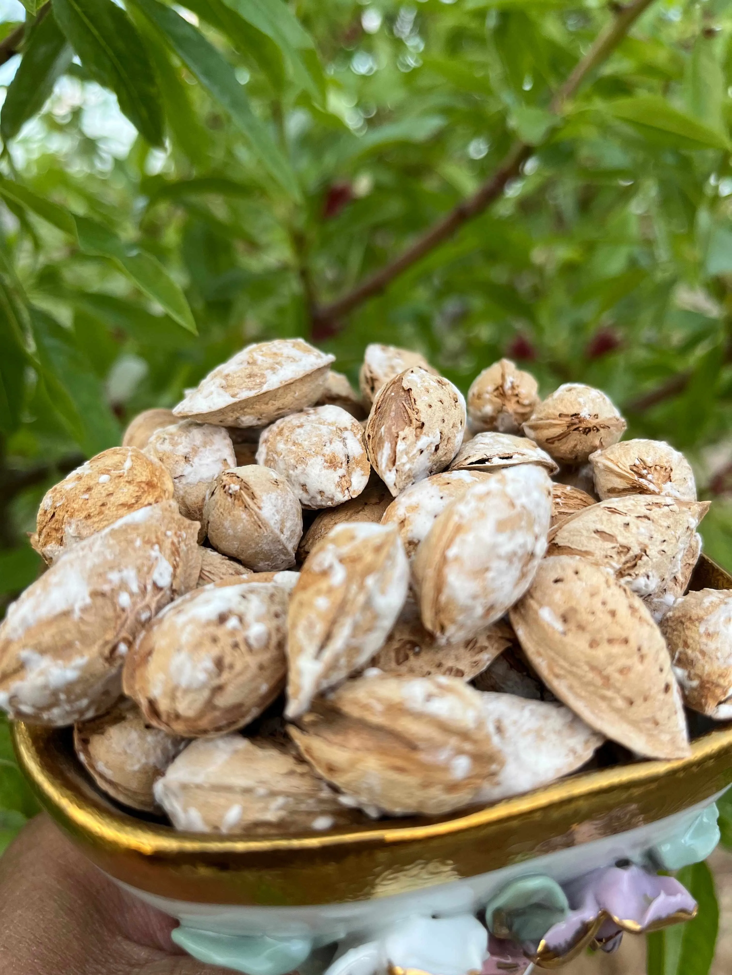 whole almonds in shell