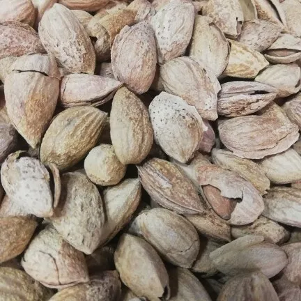 whole almonds in shell