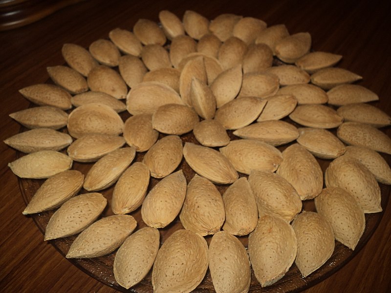 Buy almonds in shell + introduce the production and distribution factory