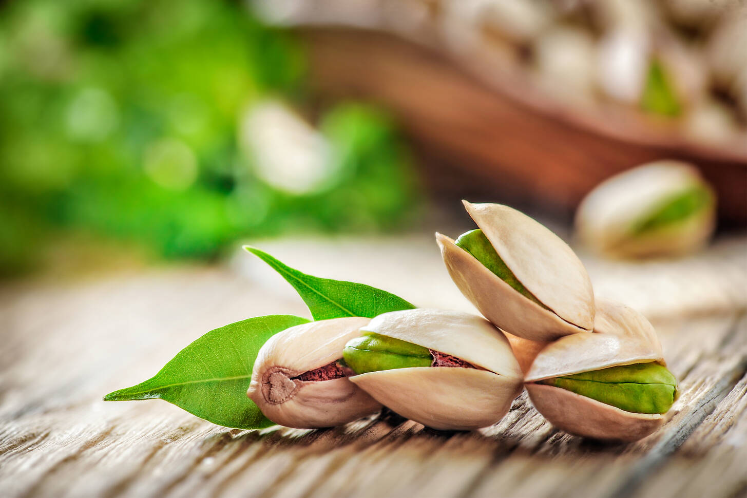 types of iran pistachio