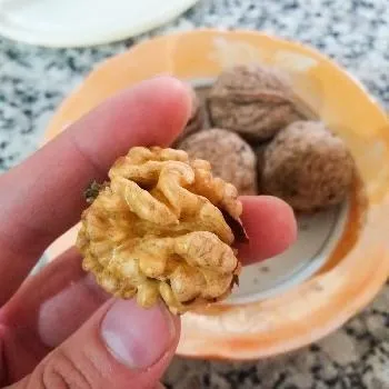 lightly salted walnuts